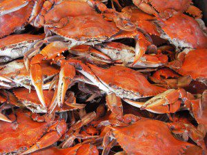 crabs-red
